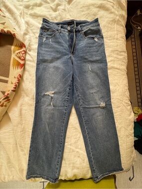 Universal Standard Diana 27 inseam Distressed Denim